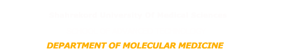 Department of Molecular Medicine